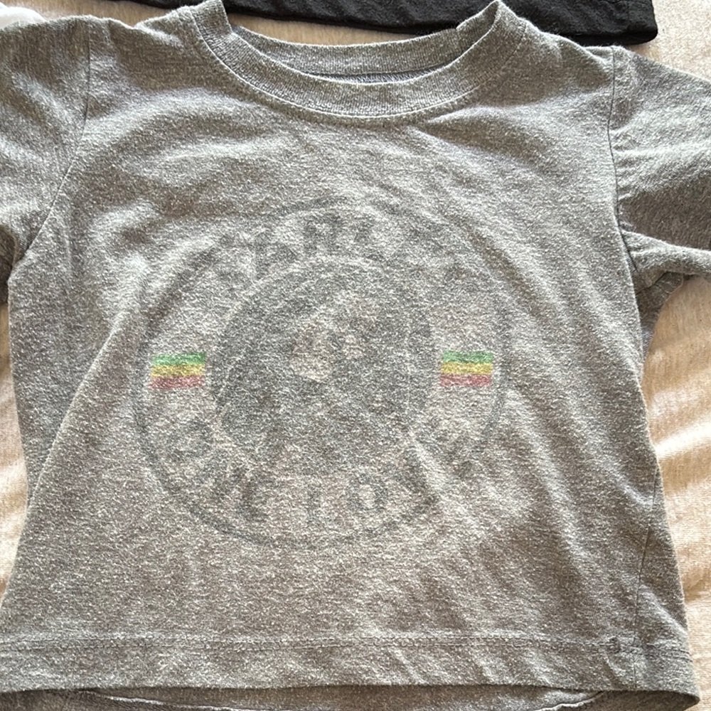 Zion Rootswear Gray Short Sleeve Tee with Vintage Design